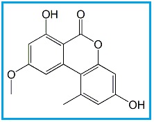 Alternariol-9-Methyl Ether